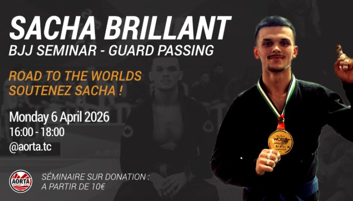 Séminaire avec Sacha Brillant